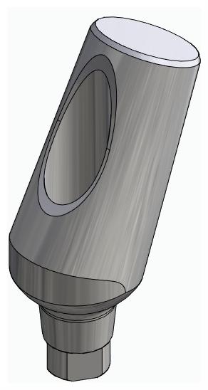 BIONIKA AG, Universal abutment, angled, positioned, type-A