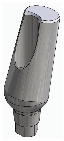 BIONIKA AG, Universal abutment, angled, positioned, type-B