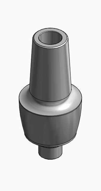 BIONIKA 3I, Anatomic abutment, straight, positioned