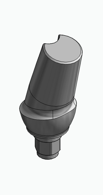 BIONIKA 3I, Anatomic abutment, angled, 15°, positioned, type-A
