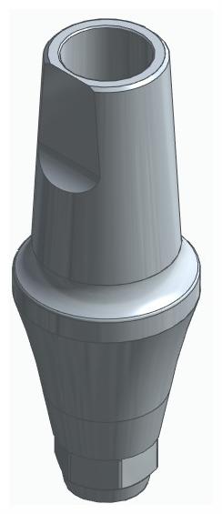 BIONIKA DI UF, Anatomic abutment, straight, positioned