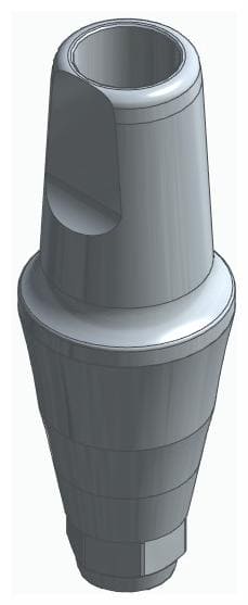 BIONIKA DI UF, Anatomic abutment, straight, positioned