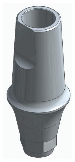 BIONIKA DI UF, Anatomic abutment, straight, positioned