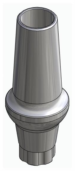 BIONIKA DI SM, Anatomic abutment, straight, positioned