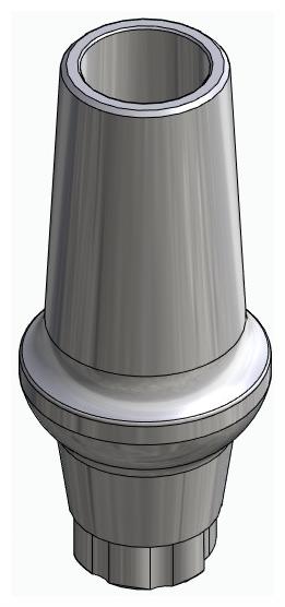 BIONIKA DI SM, Anatomic abutment, straight, positioned