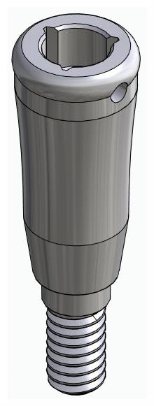 BIONIKA DI SM, Locator abutment, straight