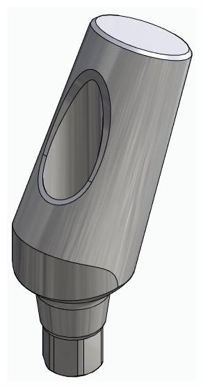 BIONIKA iSy, Universal abutment, angled, positioned, type-B