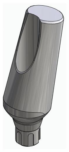 BIONIKA SCANDREA, Universal abutment, angled, positioned, type-A