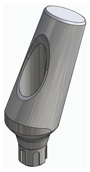 BIONIKA SCANDREA, Universal abutment, angled, positioned, type-A