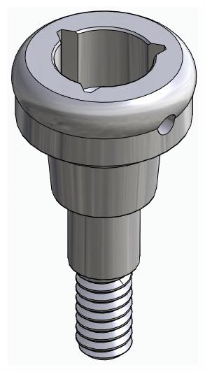 BIONIKA KT, Locator abutment, straight