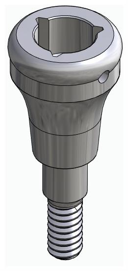 BIONIKA KT, Locator abutment, straight