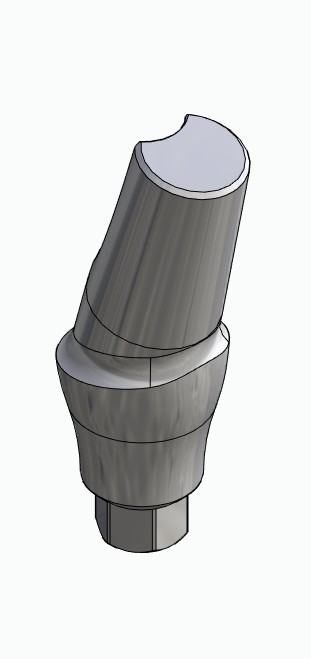 BIONIKA SD, Anatomic abutment, angled, 15°, positioned, type-A