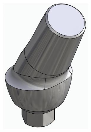 BIONIKA SD, Anatomic abutment, angled, 25°, positioned, type-A
