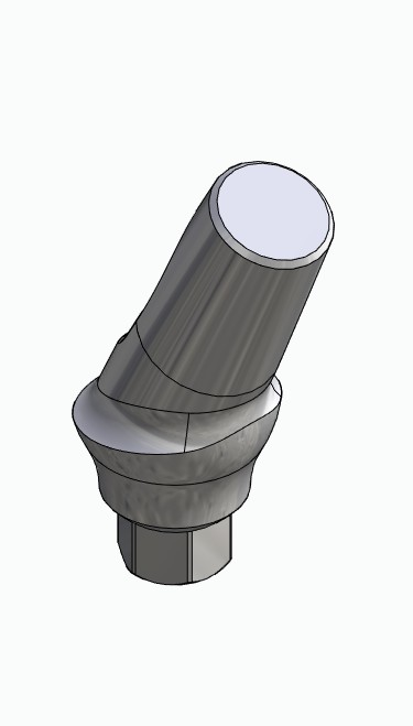 BIONIKA SD, Anatomic abutment, angled, 25°, positioned, type-B