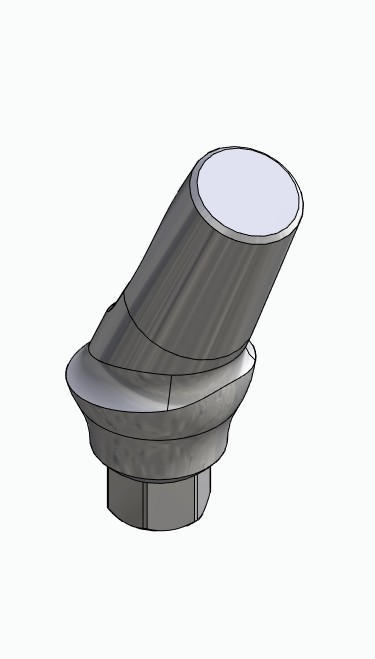 BIONIKA SD, Anatomic abutment, angled, 25°, positioned, type-B