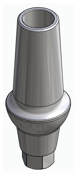 BIONIKA ND, Anatomic abutment, straight, positioned