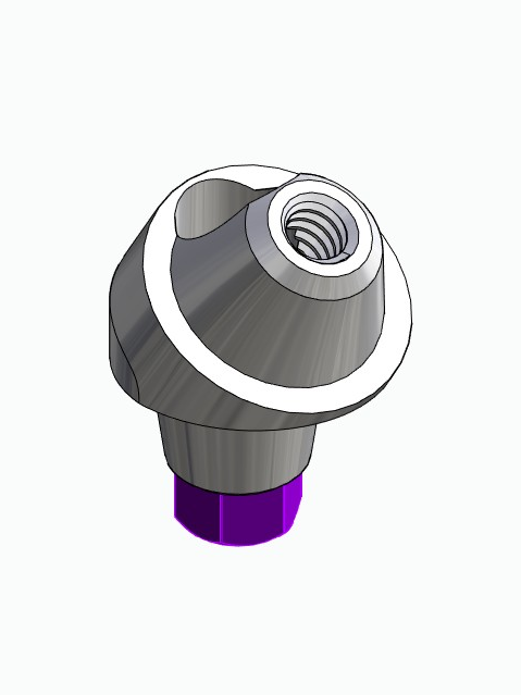 BIONIKA ND, Multi-unit abutment, angled, positioned, wide, LT2, type-A