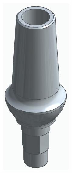 BIONIKA FR, Anatomic abutment, straight, positioned