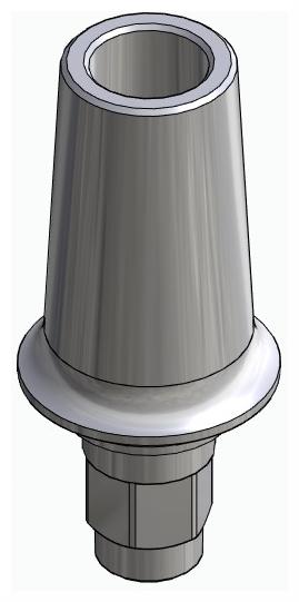 BIONIKA FR, Anatomic abutment, straight, positioned
