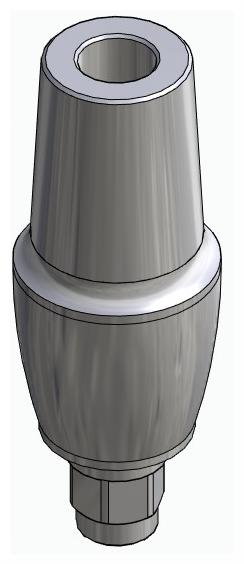 BIONIKA FR, Anatomic abutment, straight, positioned