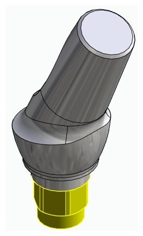 BIONIKA FR, Anatomic abutment, angled, 25°, positioned, type-A