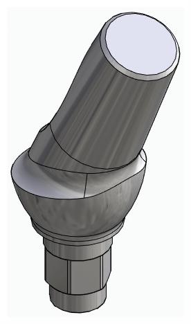 BIONIKA FR, Anatomic abutment, angled, 25°, positioned, type-B