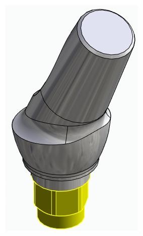 BIONIKA FR, Anatomic abutment, angled, 25°, positioned, type-B
