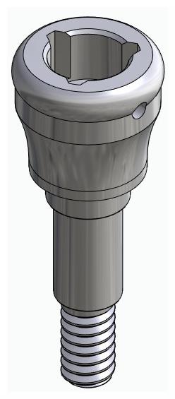 BIONIKA FR, Locator abutment, straight
