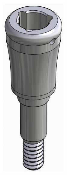 BIONIKA FR, Locator abutment, straight