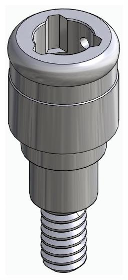 BIONIKA FR, Locator abutment, straight