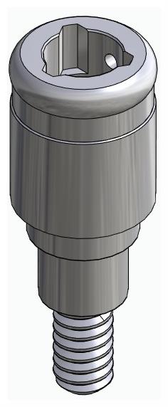 BIONIKA FR, Locator abutment, straight