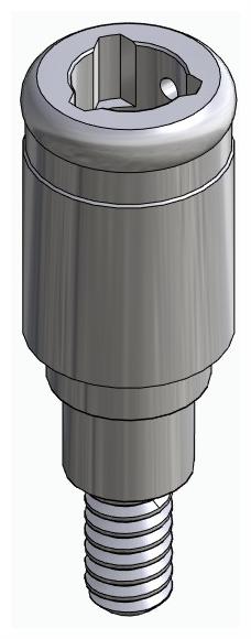 BIONIKA FR, Locator abutment, straight