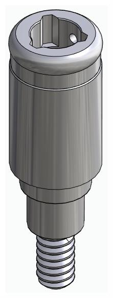 BIONIKA FR, Locator abutment, straight