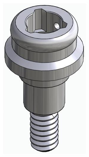 BIONIKA FR, Locator abutment, straight