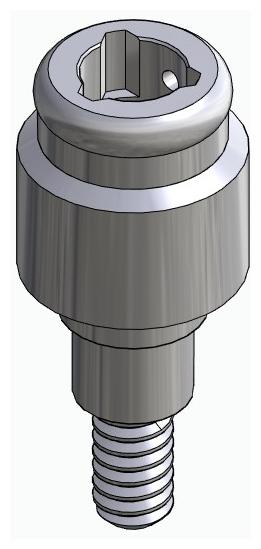 BIONIKA FR, Locator abutment, straight