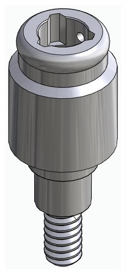 BIONIKA FR, Locator abutment, straight
