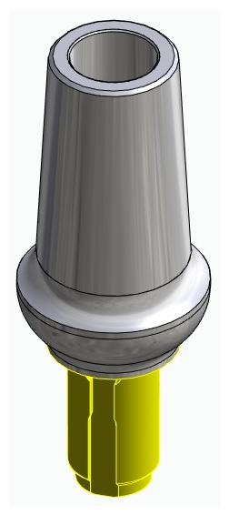 BIONIKA WL, Anatomic abutment, straight, positioned