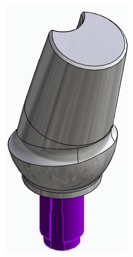 BIONIKA WL, Anatomic abutment, angled, 15°, positioned, type-A