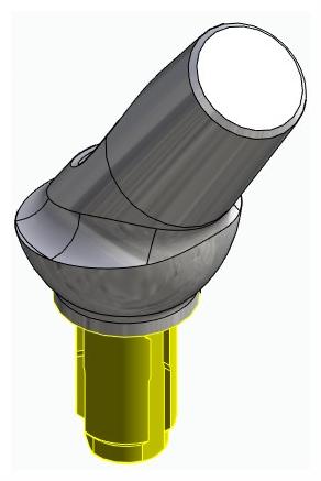 BIONIKA WL, Anatomic abutment, angled, 35°, positioned, type-A
