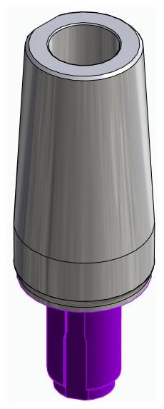 BIONIKA WL, Narrow abutment, straight, positioned