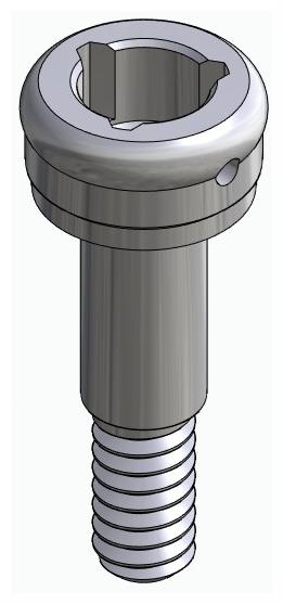 BIONIKA WL, Locator abutment, straight