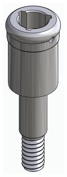 BIONIKA WL, Locator abutment, straight