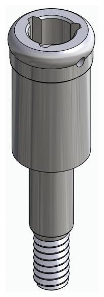BIONIKA WL, Locator abutment, straight