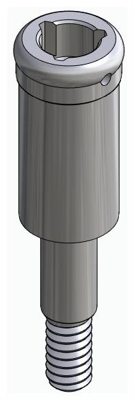 BIONIKA WL, Locator abutment, straight