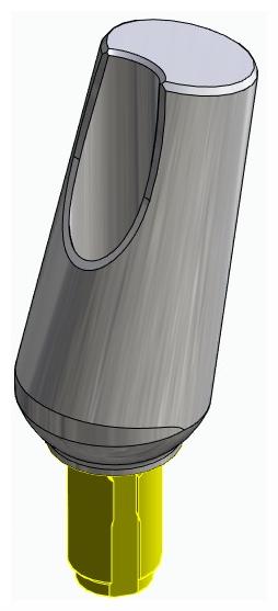 BIONIKA WL, Universal abutment, angled, positioned, type-A