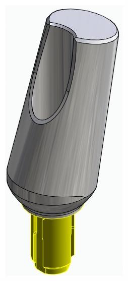 BIONIKA WL, Universal abutment, angled, positioned, type-B