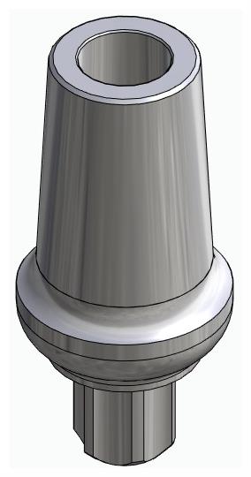 BIONIKA BB, Anatomic abutment, straight, positioned