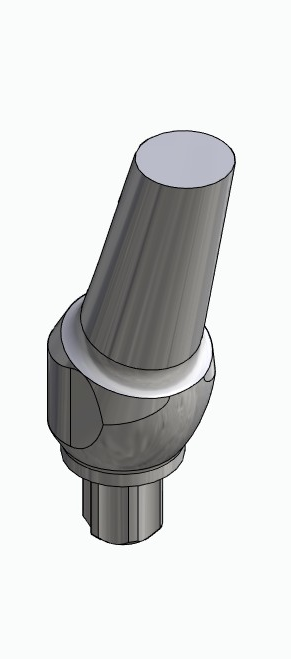 BIONIKA BB, Delta abutment, positioned