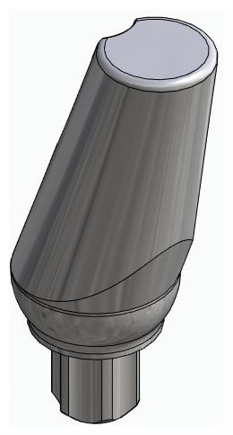 BIONIKA BB, Universal abutment, angled, positioned, type-A