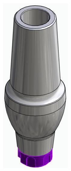 BIONIKA C1, Anatomic abutment, straight, positioned